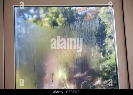 damaged UPVC sealed unit in double glazed door showing condensation between the panes of glass Stock Photo