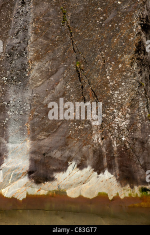 Granite Striations on the Cliff Face of Rndicott Arm, Inside Passage, Alaska Stock Photo