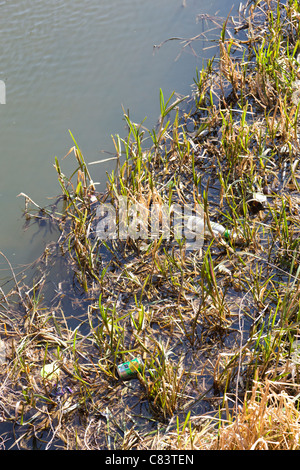 Litter floating amongst reeds in the Grand Union canal Stock Photo