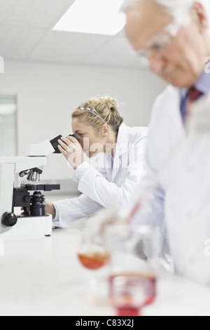Scientists working in pathology lab Stock Photo