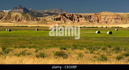 Typical landscape in Denver Area Colorado USA Stock Photo