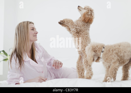 Woman playing with dogs on bed Stock Photo