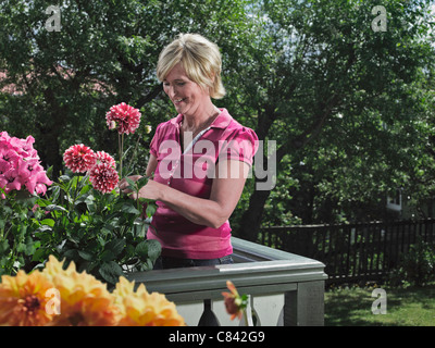 Senior woman gardening on balcony in summer, spraying plants Stock ...