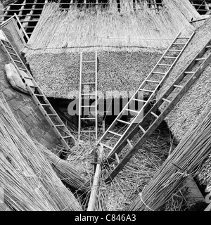 Ladders leading to thatched roof Stock Photo