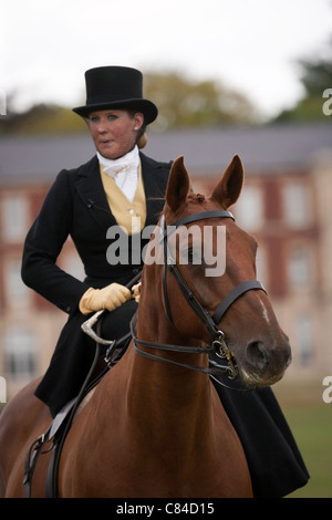 side saddle rider horse female Sandhurst warmblood Stock Photo