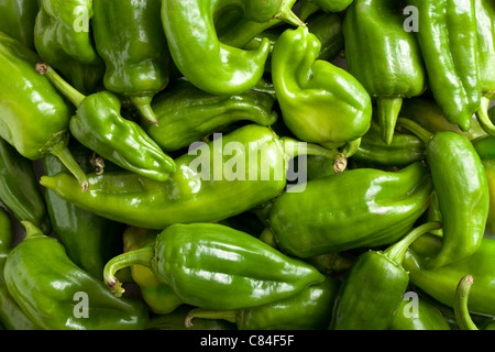 Green Bell Peppers Stock Photo