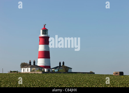 Happisburgh Lighthouse across a field of sugar beet in Norfolk England Stock Photo