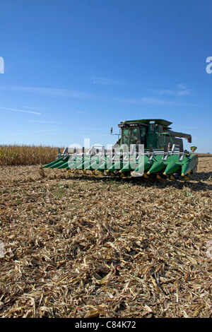 Corn Harvest Midwest USA Stock Photo