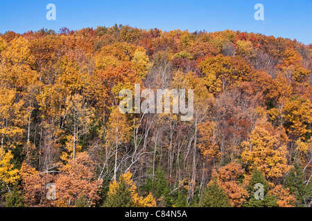 New England Fall, near French King Bridge, Massachusetts, USA Stock Photo