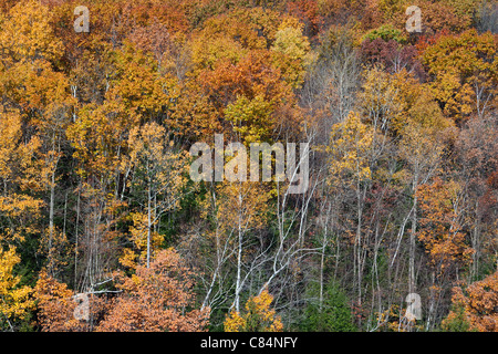 New England Fall, near French King Bridge, Massachusetts, USA Stock Photo