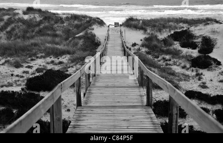 Coastal boardwalk through sand dunes leading down to the ocean Stock Photo