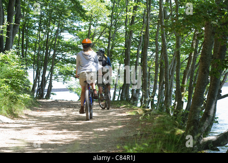Cyclists riding through woods, rear view Stock Photo