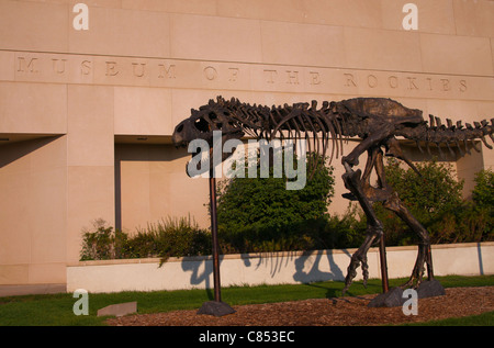 'Big Mike' in front of the Museum of the Rockies in Bozeman, Montana is famous for its dinosaur fossils and natural history. Stock Photo