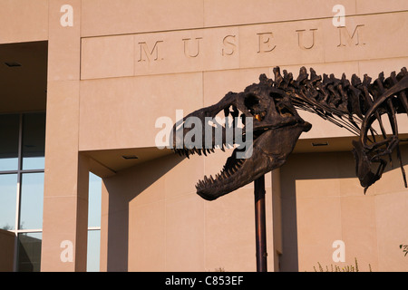 'Big Mike' in front of the Museum of the Rockies in Bozeman, Montana is famous for its dinosaur fossils and natural history. Stock Photo