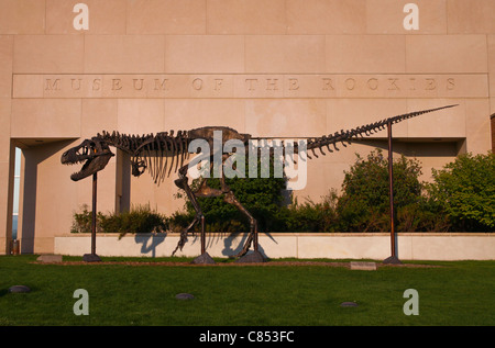 'Big Mike' in front of the Museum of the Rockies in Bozeman, Montana is famous for its dinosaur fossils and natural history. Stock Photo