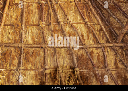 Stone Age hut of reeds in the woods Stock Photo - Alamy