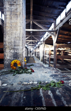 inside sleeping accommodation, Auschwitz Birkenau Stock Photo