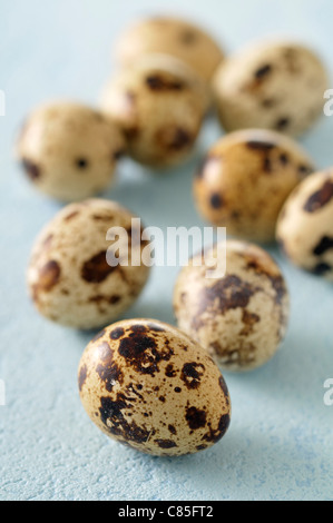 Close-up of Quail Eggs Stock Photo