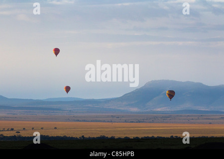 Hot Air Balloons, Masai Mara National Reserve, Narok District, Rift Valley Province, Kenya Stock Photo