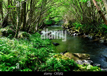 Circular walk of Moulin Foulon, River la Sonce, Fosse Arthour site (Orne, Normandy, France).