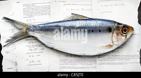 Herring on Texbook Pages Stock Photo