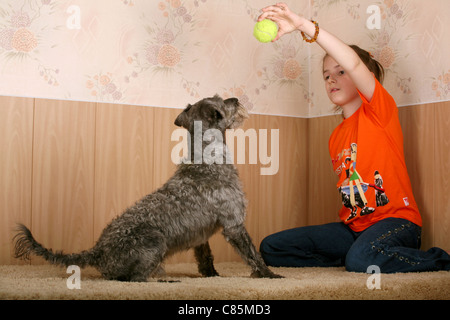 Dog training. The girl with a dog Stock Photo