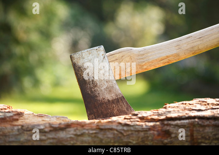 Closeup of a single bit axe with hickory handle Stock Photo