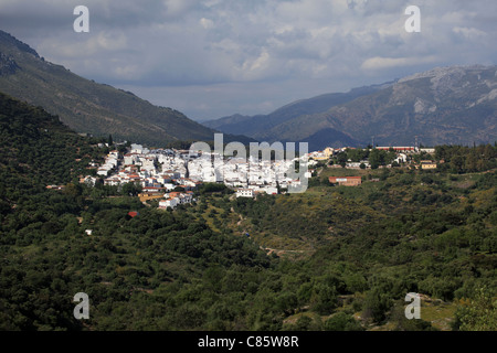 Late afternoon sunlight shining on the white painted houses of Gaucin, a [pueblo blanco] in Andalusia, Spain Stock Photo