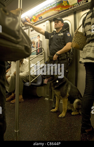 Transit cop with a police dog in tow patrolling the subway in New York City. Stock Photo