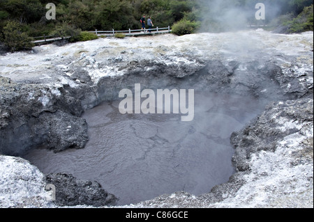 The Devil's Ink Pots Mud Pools at Wai-O-Tapu Thermal Wonderland near Rotorua North Island New Zealand Stock Photo