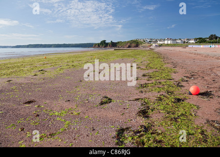 England Devon Goodrington Sands South Stock Photo