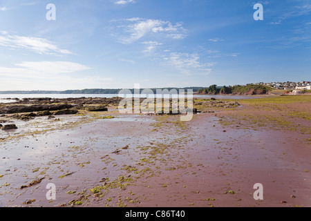 England Devon Goodrington Sands South with 'Middle Stone' Stock Photo