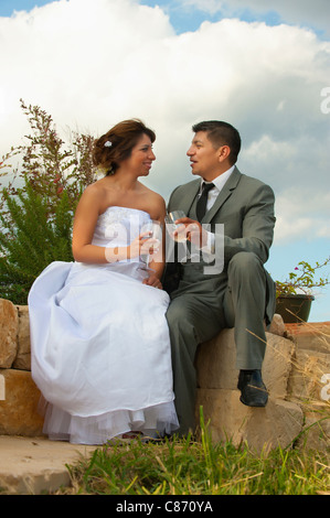 Bride and Groom Newlyweds clinking glasses Stock Photo
