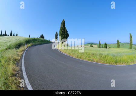 Winding Road with Cypress Trees, Val d'Orcia, Siena Province, Tuscany, Italy Stock Photo