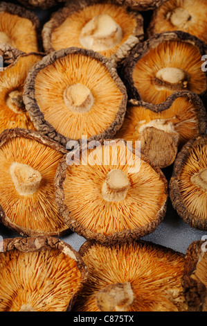 dried mushrooms Stock Photo