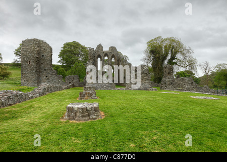 United Kingdom, Northern Ireland, County Down, Downpatrick, View of ruined Inch Abbey Stock Photo