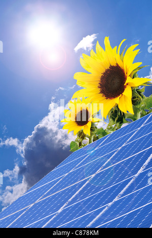 Germany, Cologne, Solar panels with sunflowers against blue sky and sun Stock Photo