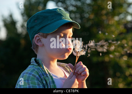 young boy blowing a dandelion clock Stock Photo