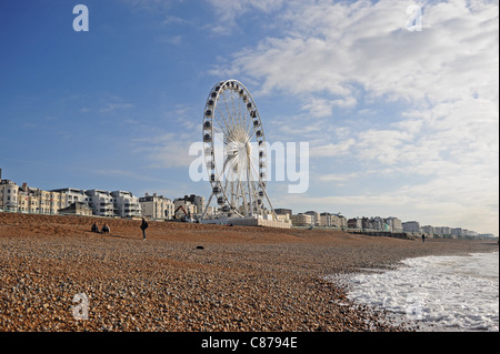 Construction and testing of the Brighton Wheel is nearly complete on the seafront . The 160 ft high ferris wheel ride Stock Photo