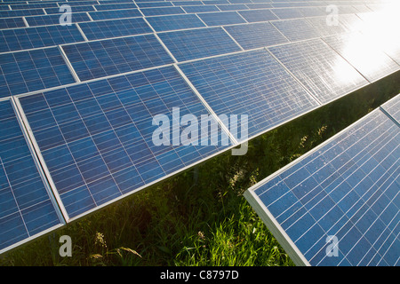 Germany, Baden-Wurttemberg, Winnenden, View of large number of solar panels at solar power plant field