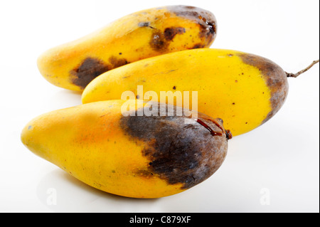 rot mango fruit on white background Stock Photo