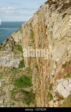 Rock Climbers on Red Wall Gogarth Stock Photo