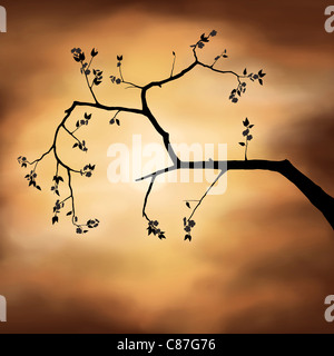 Illustration of a tree branch silhouette. Sakura cherry blossom over dramatic stormy sunset sky and the sun Stock Photo