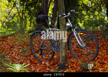 A bicycle leaning against tree on a bed of autumn leaves Stock Photo