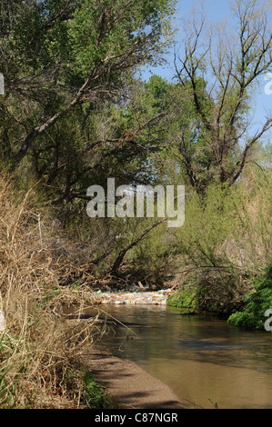 Plastic containers, tires and other pollutants collect in the Santa Cruz River, Tubac, Arizona, USA, in the Sonoran Desert. Stock Photo