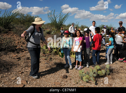 Elementary school students study the Sonoran Desert in Tucson, Arizona, USA. Stock Photo