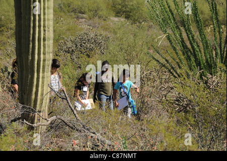 Elementary school students study the Sonoran Desert in Tucson, Arizona, USA. Stock Photo