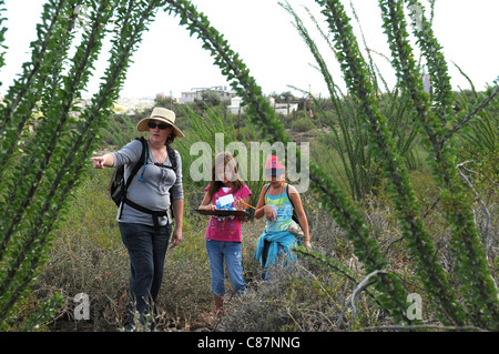 Elementary school students study the Sonoran Desert in Tucson, Arizona, USA. Stock Photo