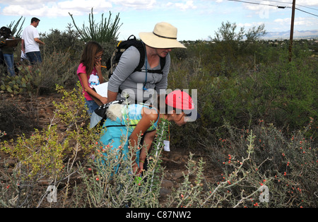 Elementary school students study the Sonoran Desert in Tucson, Arizona, USA. Stock Photo