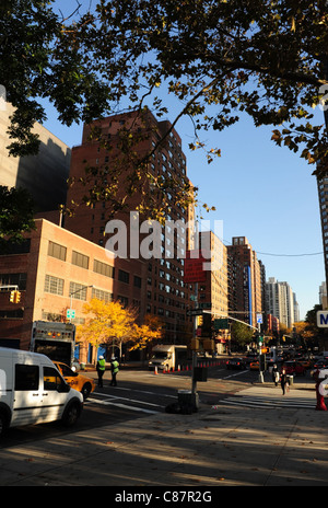 Blue sky morning autumn tree portrait two NYPD policemen directing traffic, York Avenue East 61st Street crossroads, New York Stock Photo